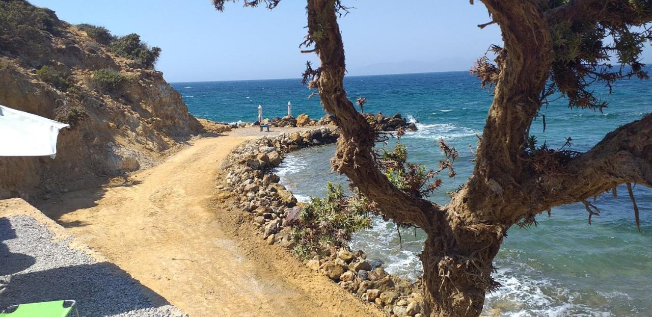 Villa Ktima Sfakia Kéfalos Exterior foto