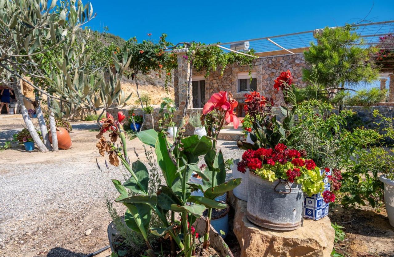 Villa Ktima Sfakia Kéfalos Exterior foto